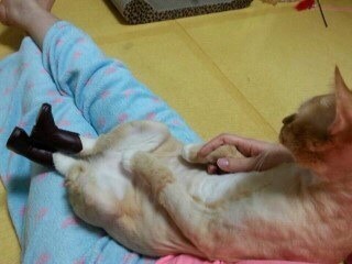 圖片來源：IMGMD／NAVER BBOOM