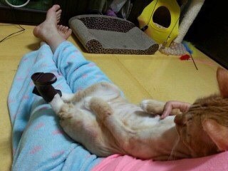 圖片來源：IMGMD／NAVER BBOOM