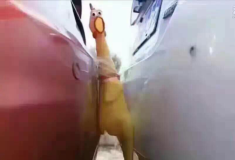 圖片來源：緣神喵丶／微博