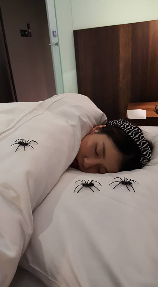 圖片來源:陳詠珮/●【爆廢公社二館】●