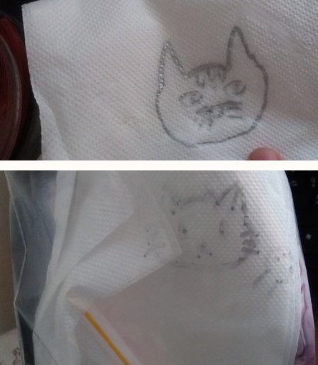 圖片來源： bl960150／twitter