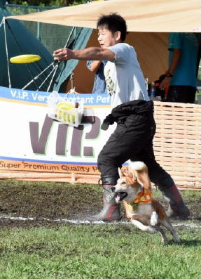 圖片來源：佐賀新聞