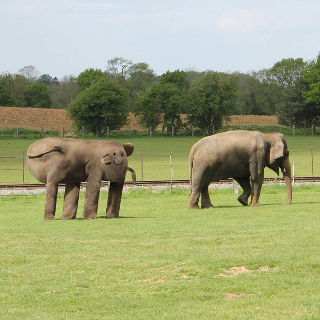 原圖來源:sadanduseless