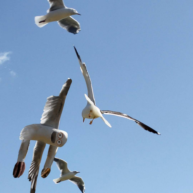 原圖來源:sadanduseless