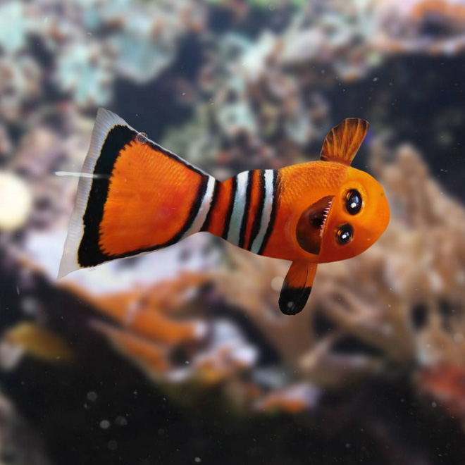 原圖來源:sadanduseless