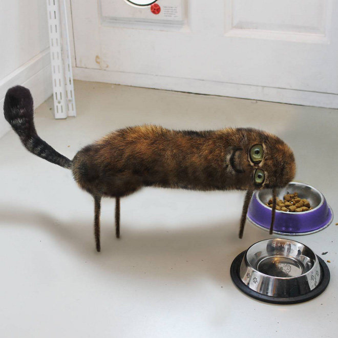 原圖來源:sadanduseless