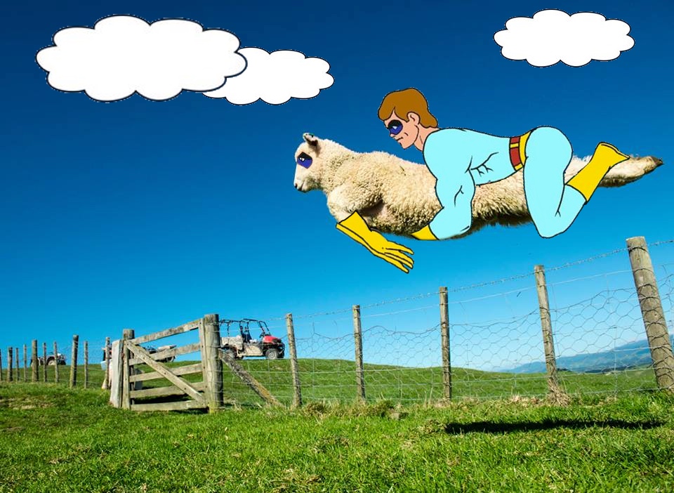 圖片來源：reddit