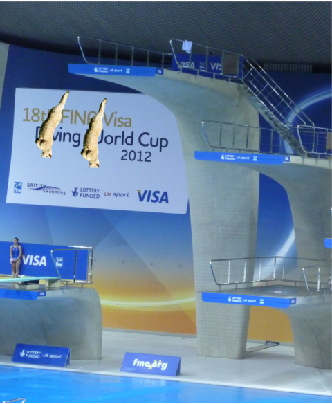 圖片來源：reddit