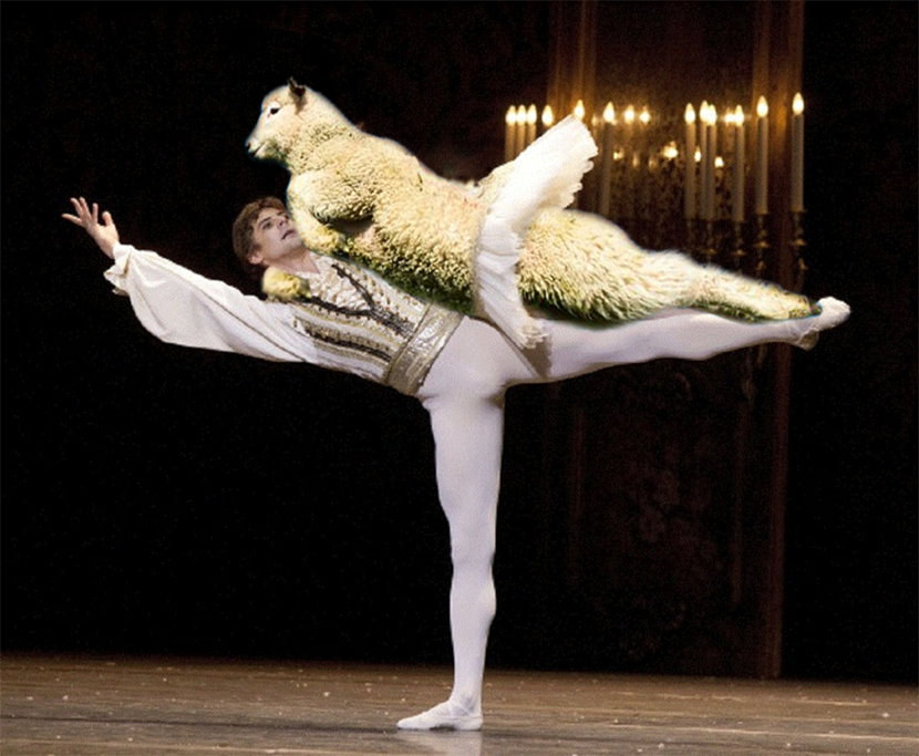 圖片來源：reddit