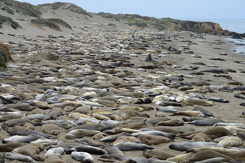 圖片來源：reddit