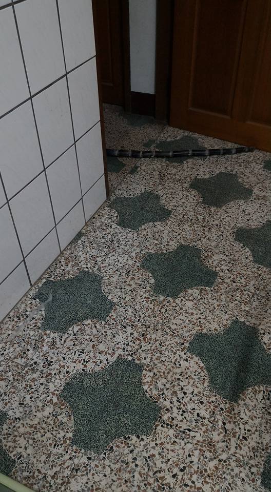 圖片來源：‎吳亦億‎／●【爆廢公社】●