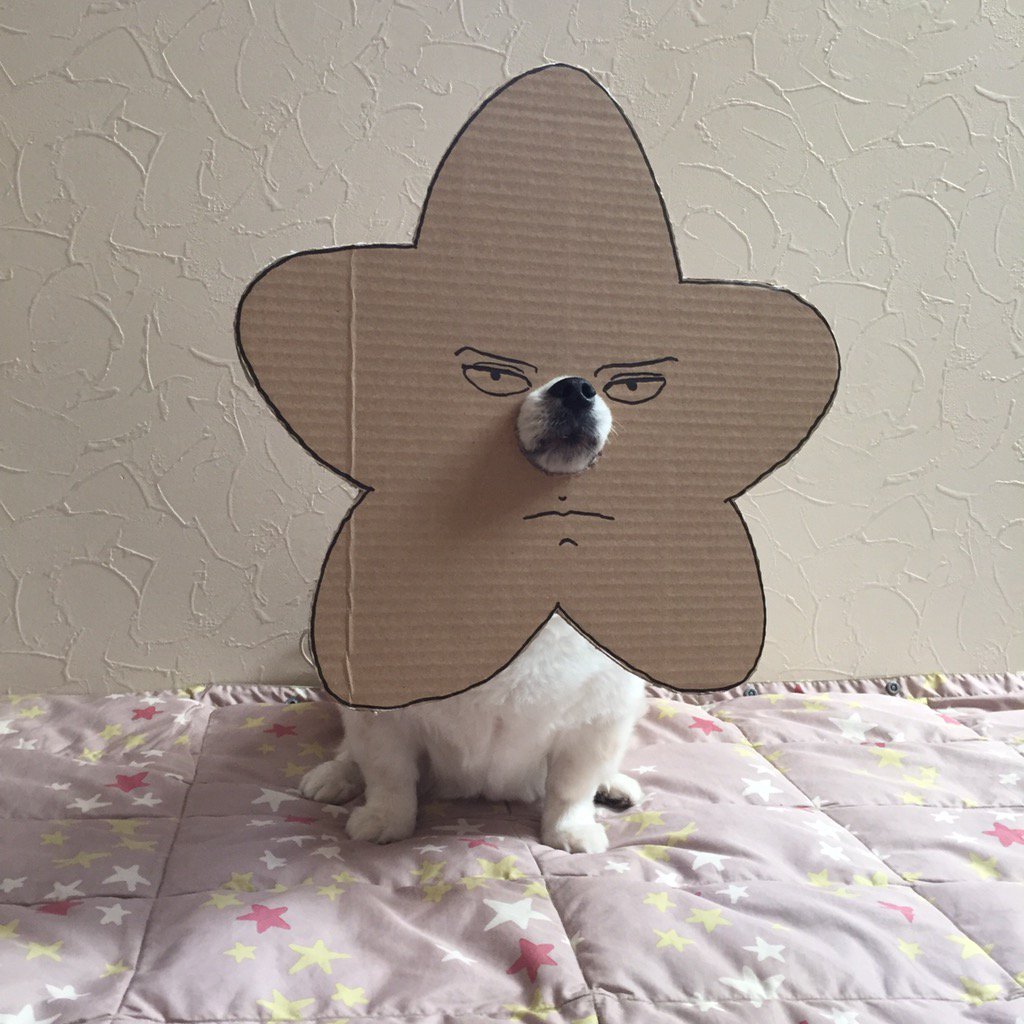 圖片來源： myouonnin／twitter