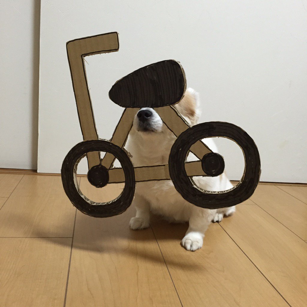 圖片來源： myouonnin／twitter