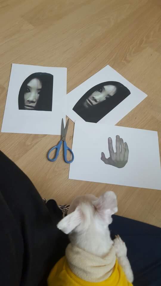 圖片來源：PinkMiruku／twitter