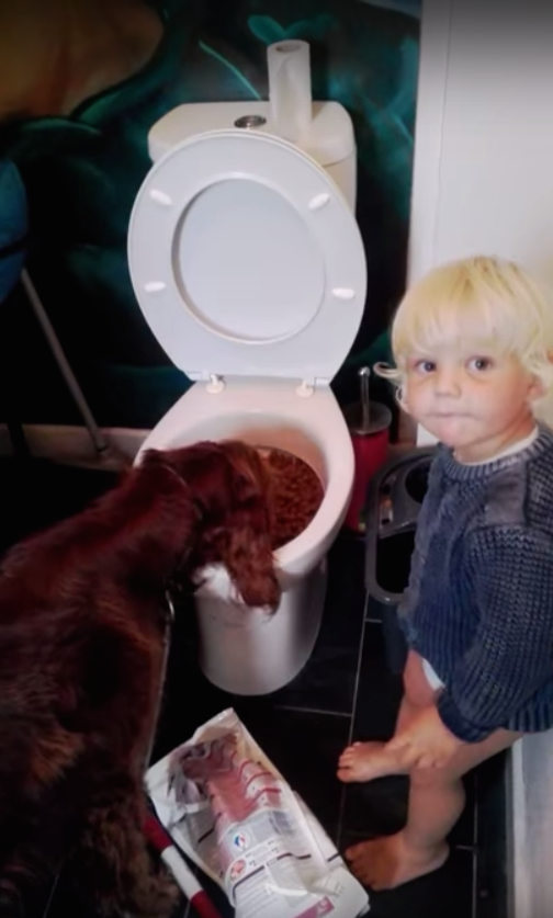 圖片來源：ring／YouTube