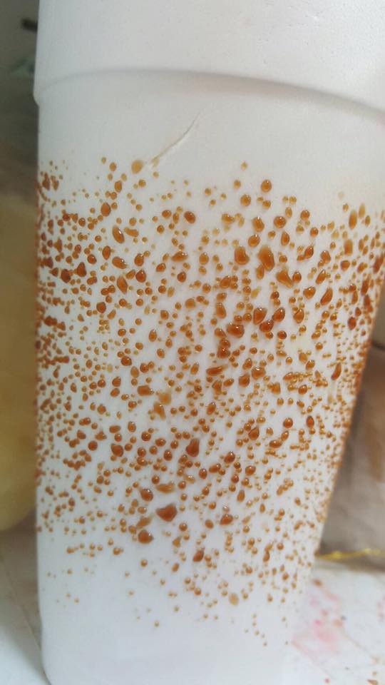 圖片來源: 王佳玲