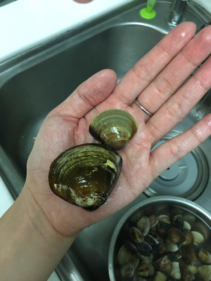 圖片來源:游晴晴