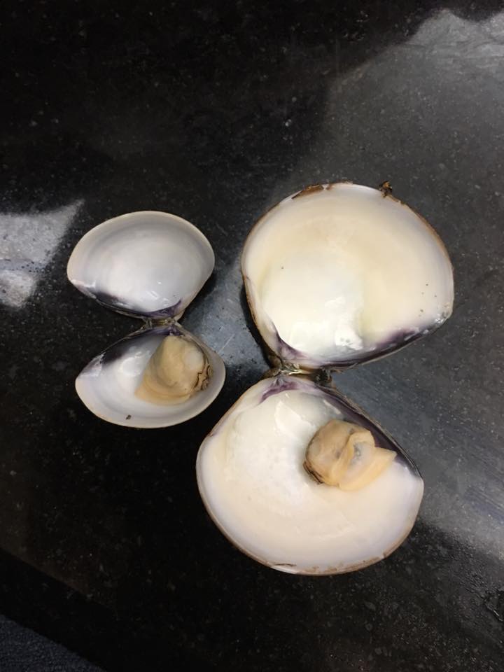 圖片來源:游晴晴