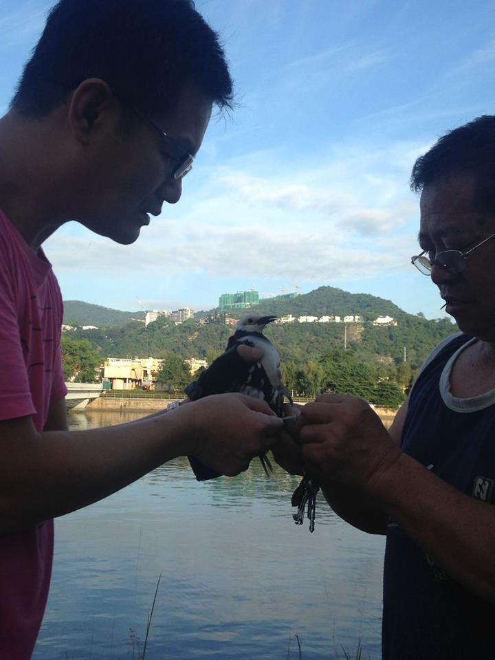 圖片來源：沙田友