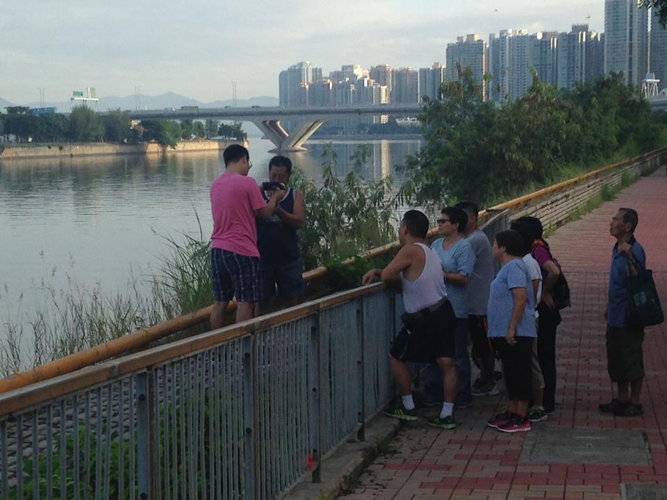 圖片來源：沙田友