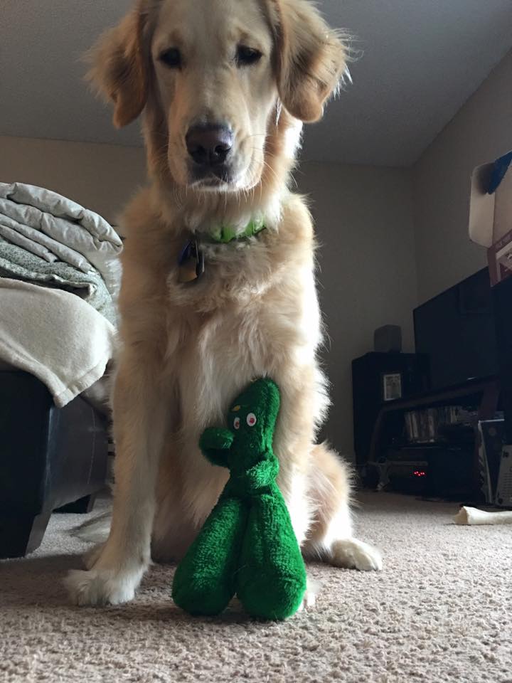 圖片來源：Jolene The Golden