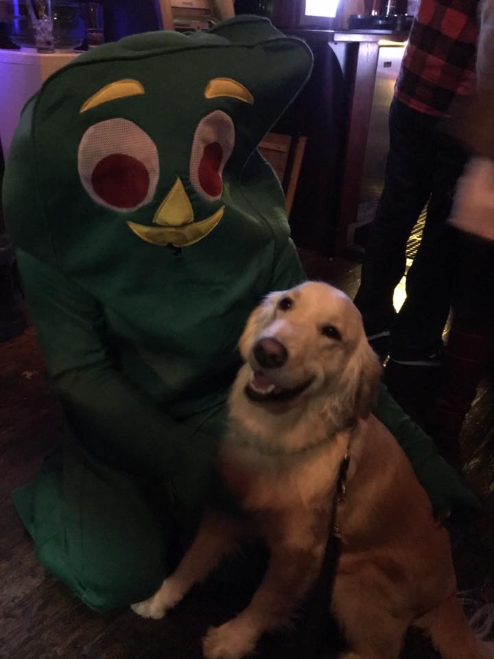 圖片來源：Jolene The Golden