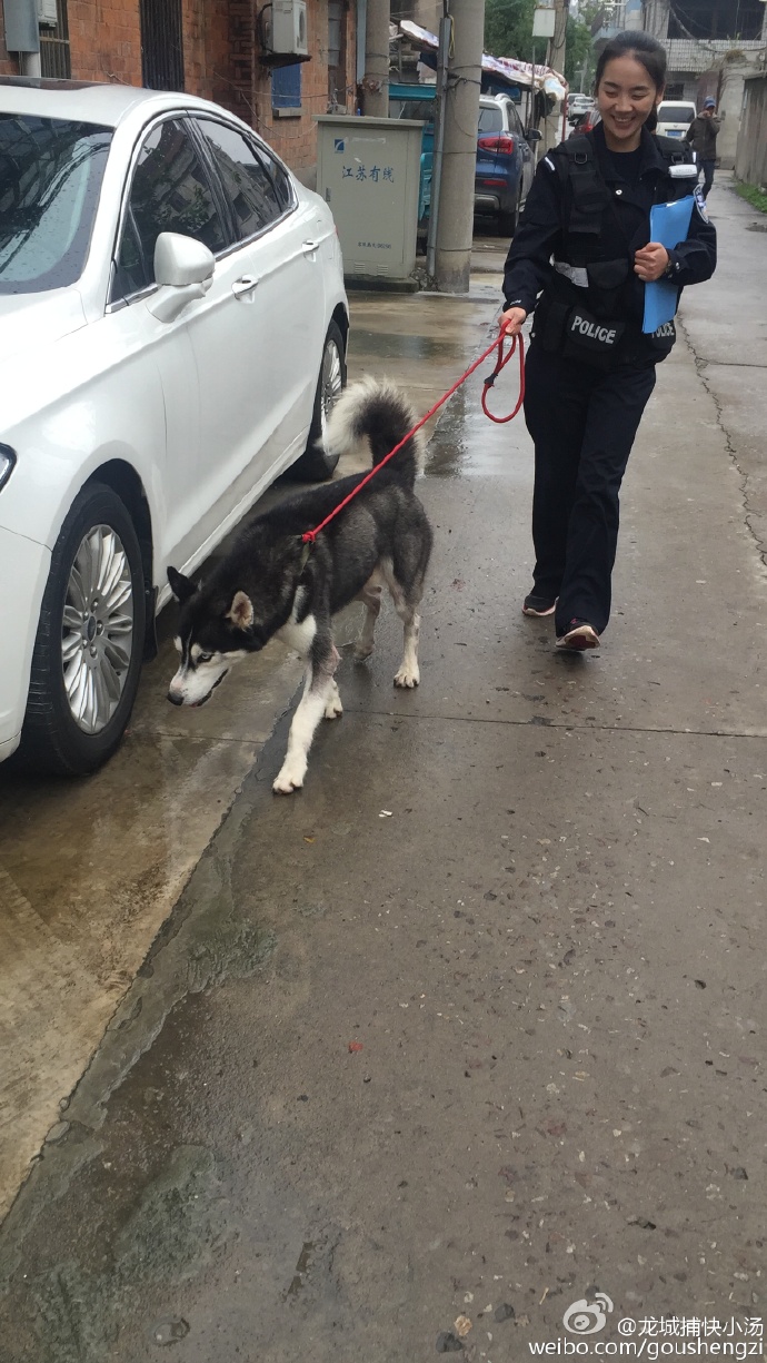 圖片來源：龍地捕快小湯／微博