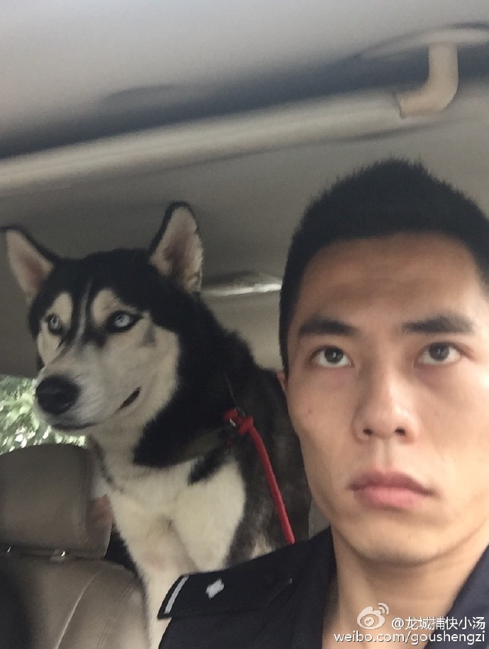 圖片來源：龍地捕快小湯／微博