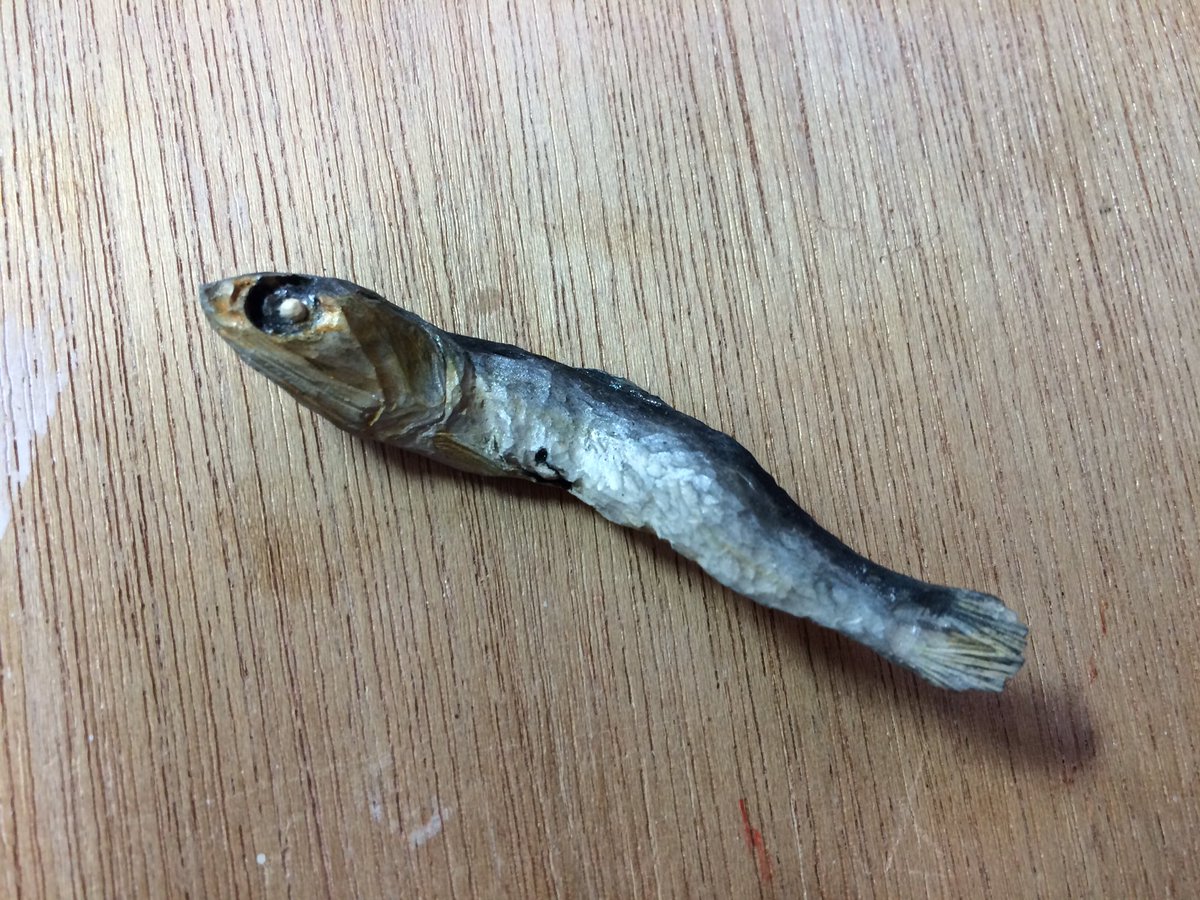 圖片來源:sawsnht/twitter