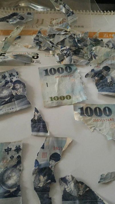 圖片來源：Wei Ying