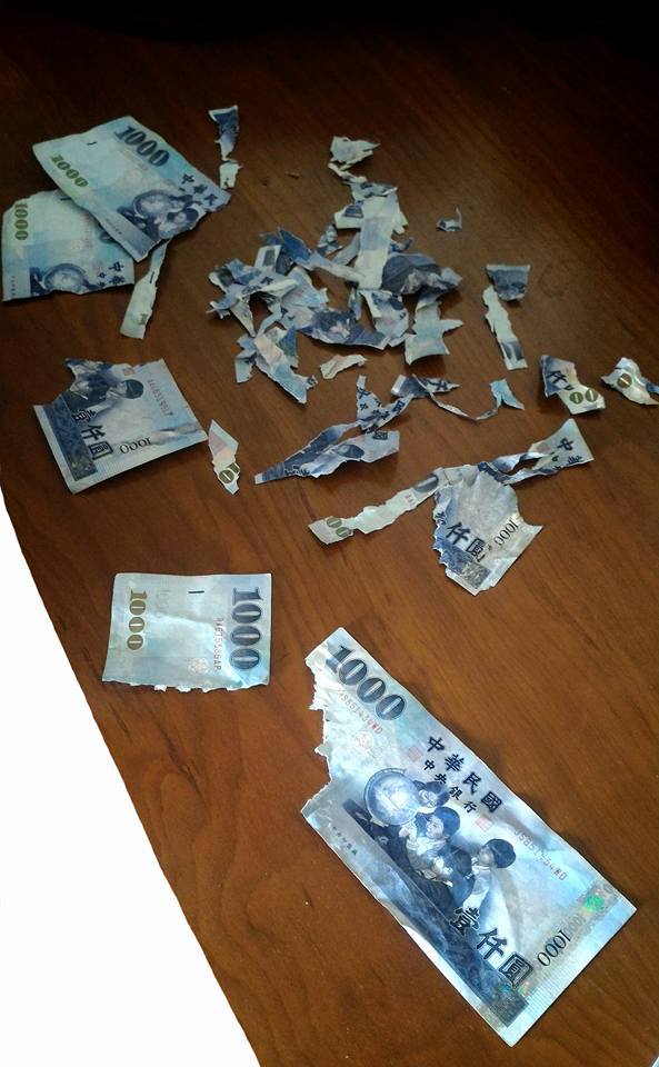 圖片來源：Wei Ying