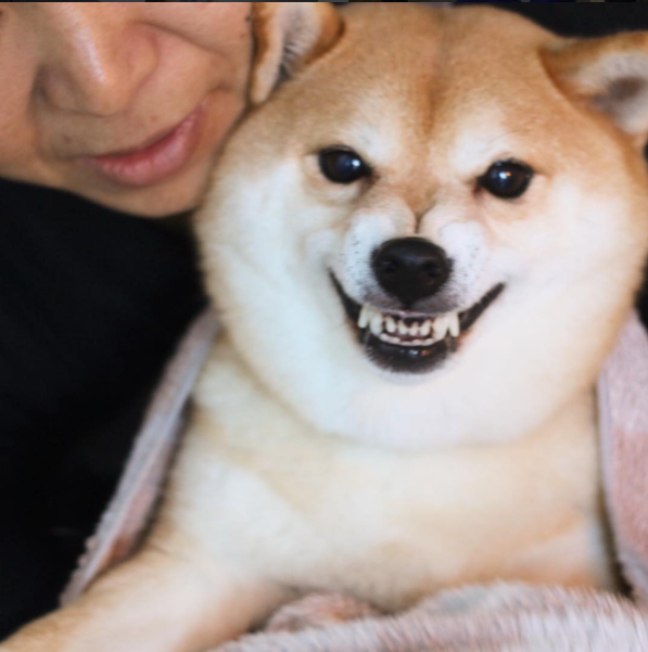 圖片來源： tommyrts／instagram