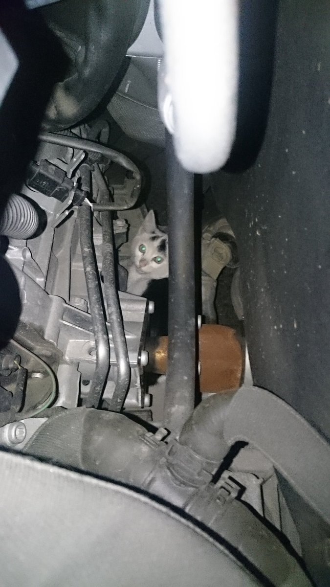 圖片來源：muchbaron／twitter