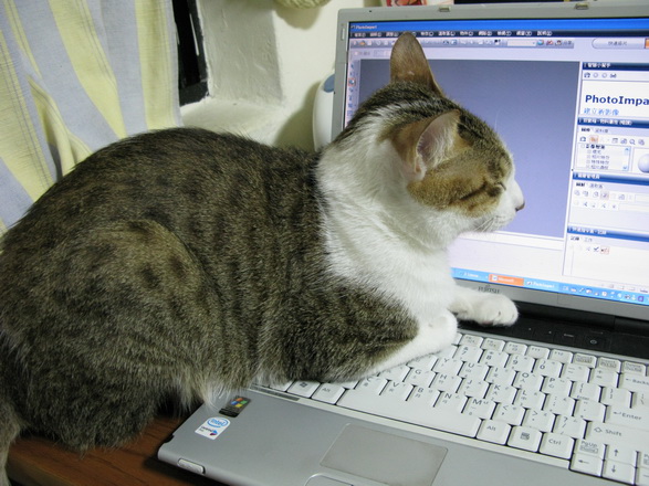 圖片來源： pixnet