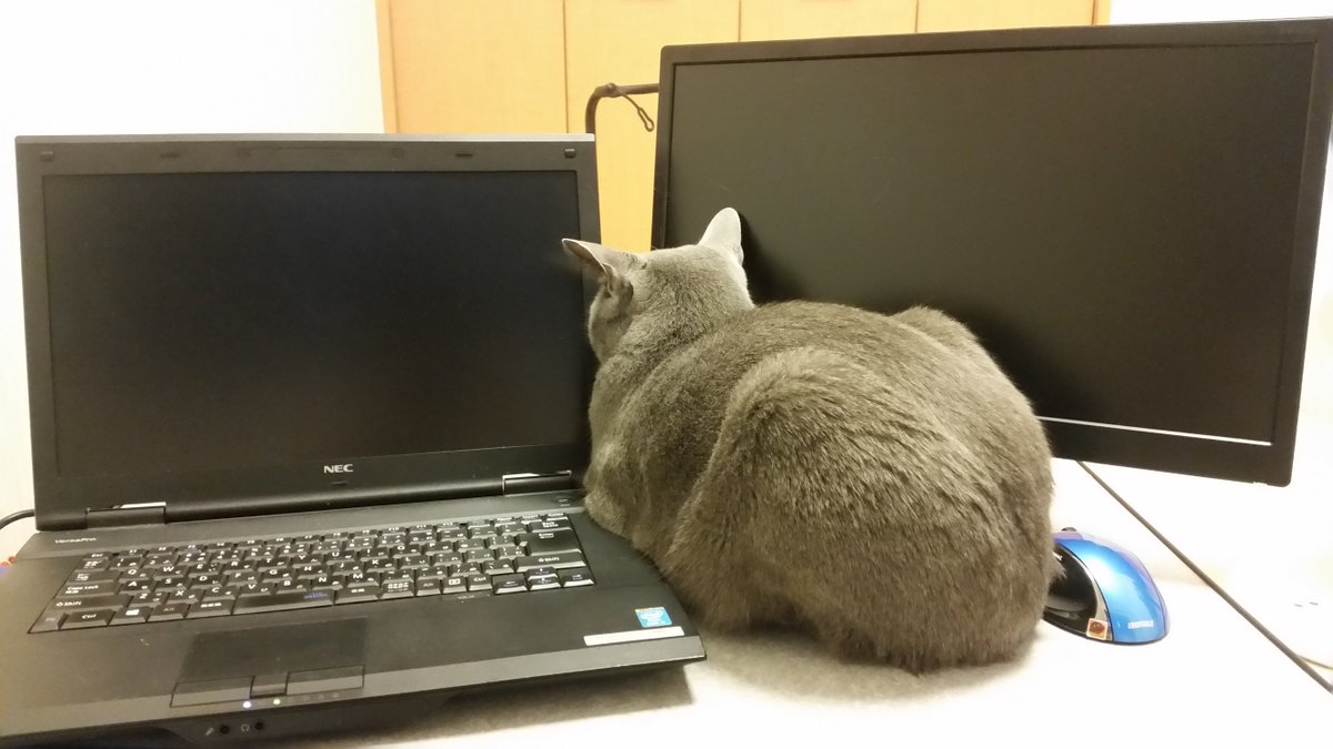 圖片來源：kokesukepapa／twitter