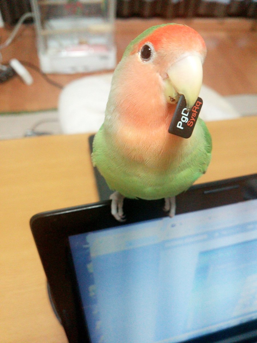 圖片來源：nagisa0077／twitter