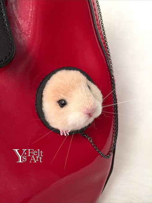 圖片來源:yukarin5211/Instagram、ysfeltart11/Twitter