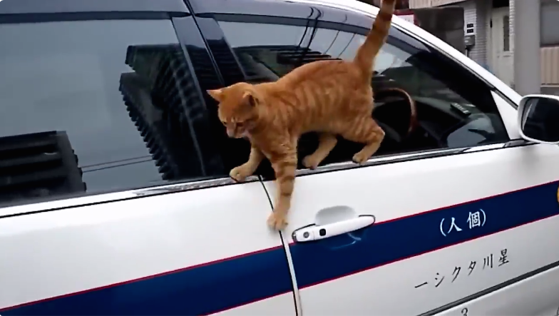 圖片來源:share4649/twitter