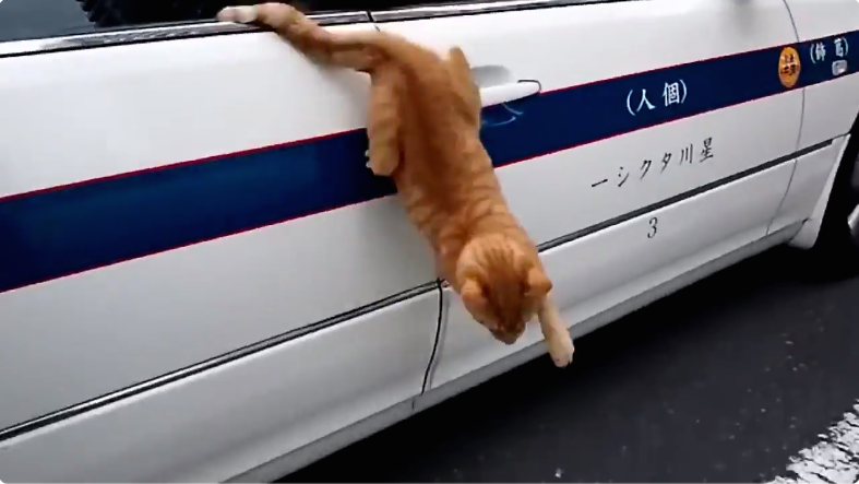 圖片來源:share4649/twitter