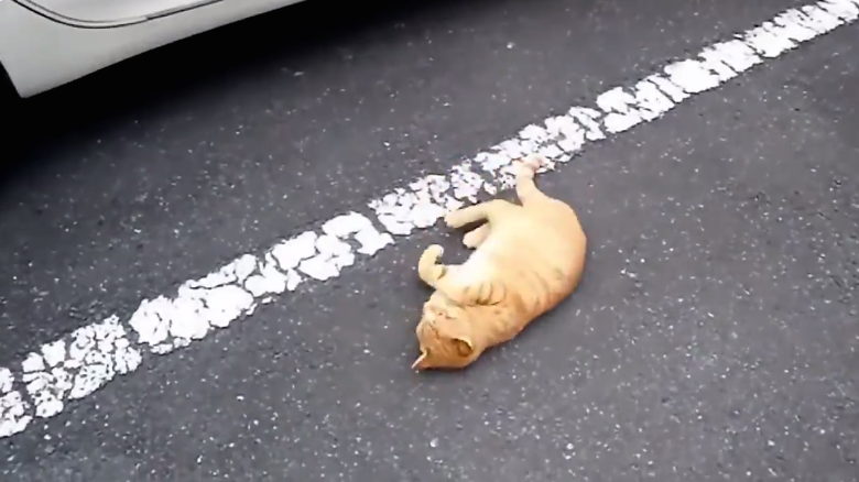 圖片來源:share4649/twitter