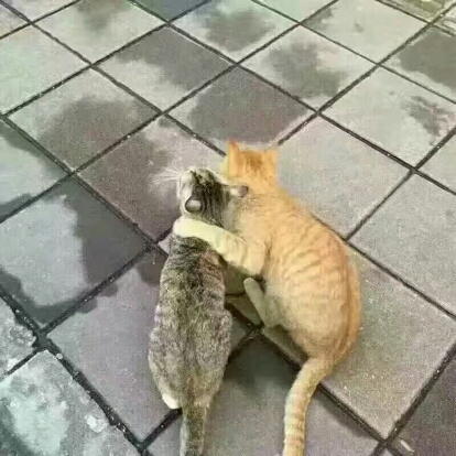 圖片來源：虎撲體育