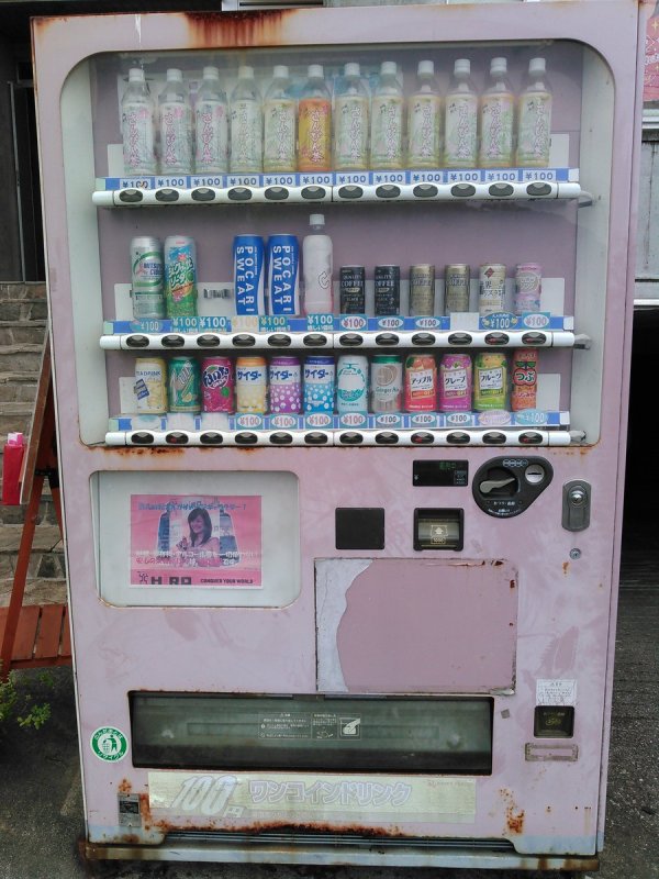 圖片來源：nicola_tess／twitter