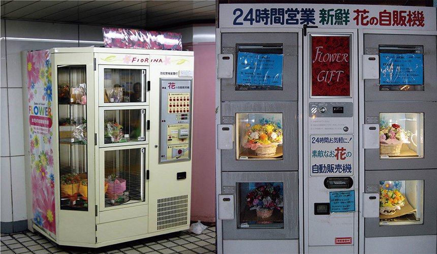 圖片來源：樂吃購日本