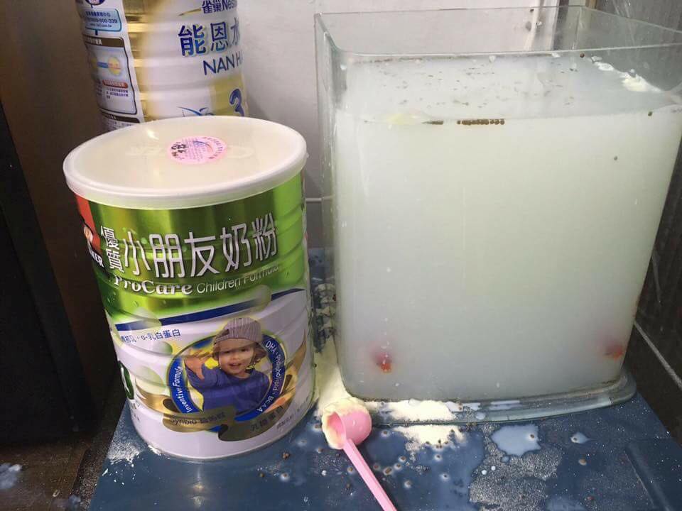 圖片來源：陳健豪／爆廢公社