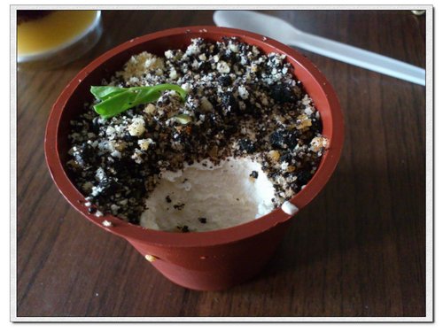 圖片來源：Xuite日誌