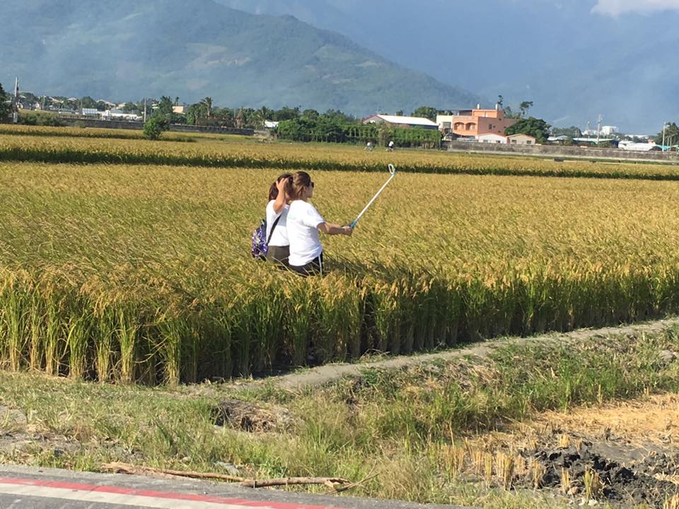 圖片來源：Ziv Jhong／●【爆廢公社】●