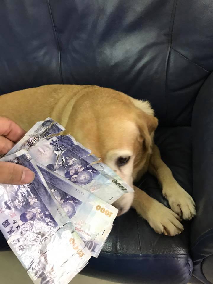 圖片來源：Sheng Weng／爆廢公社