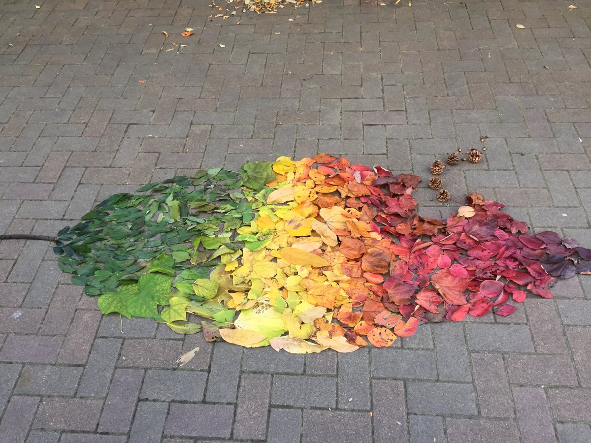 圖片來源：yuyu_03_yuyu／twitter