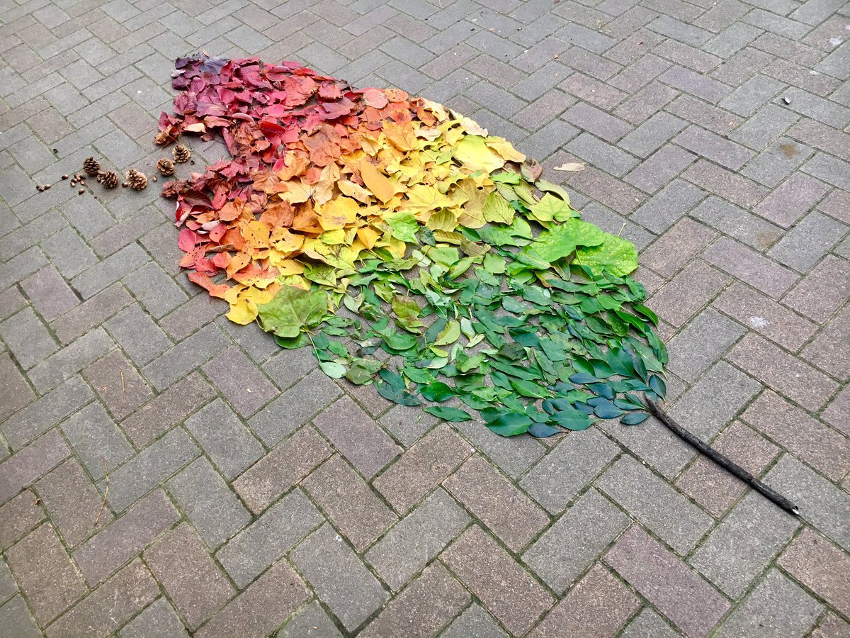 圖片來源：ka10ho10／twitter