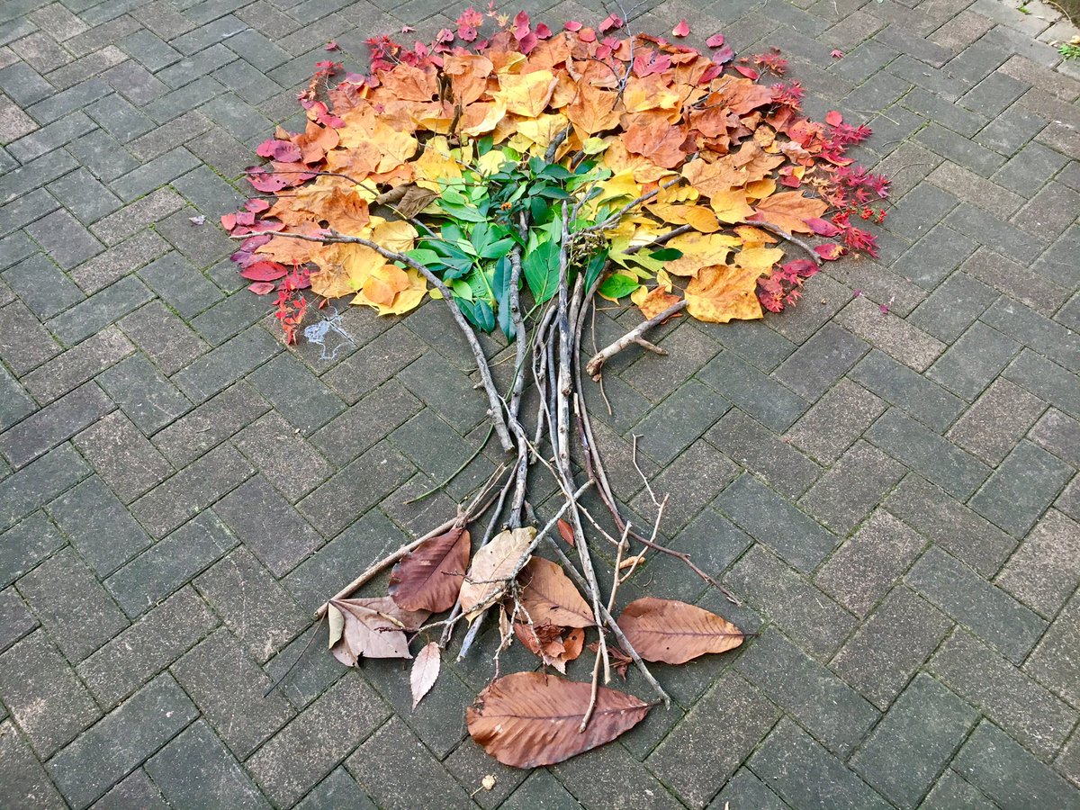 圖片來源：ka10ho10／twitter